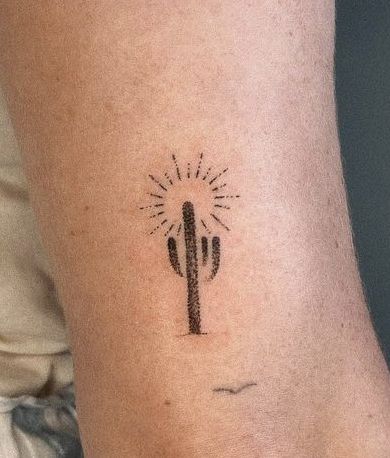 a small cactus tattoo on the ankle with sunburst in it's center