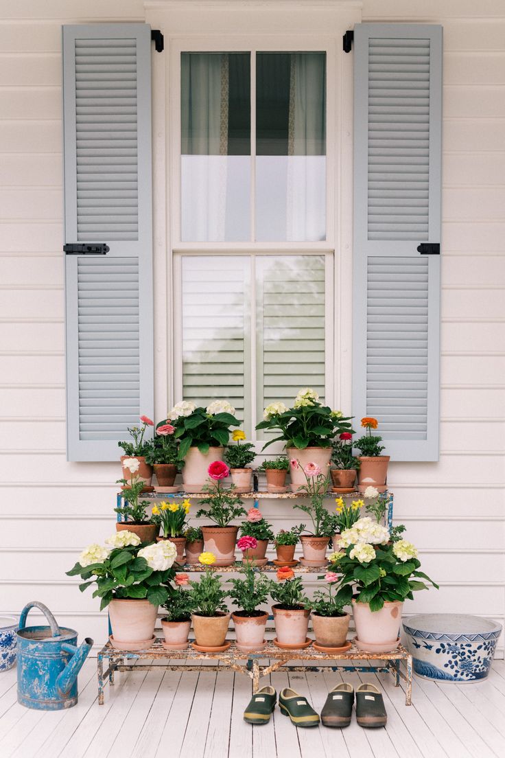 a bunch of potted plants sitting on top of a metal stand in front of a window