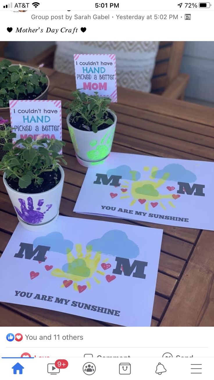 two potted plants sitting next to each other on top of a wooden table with greeting cards