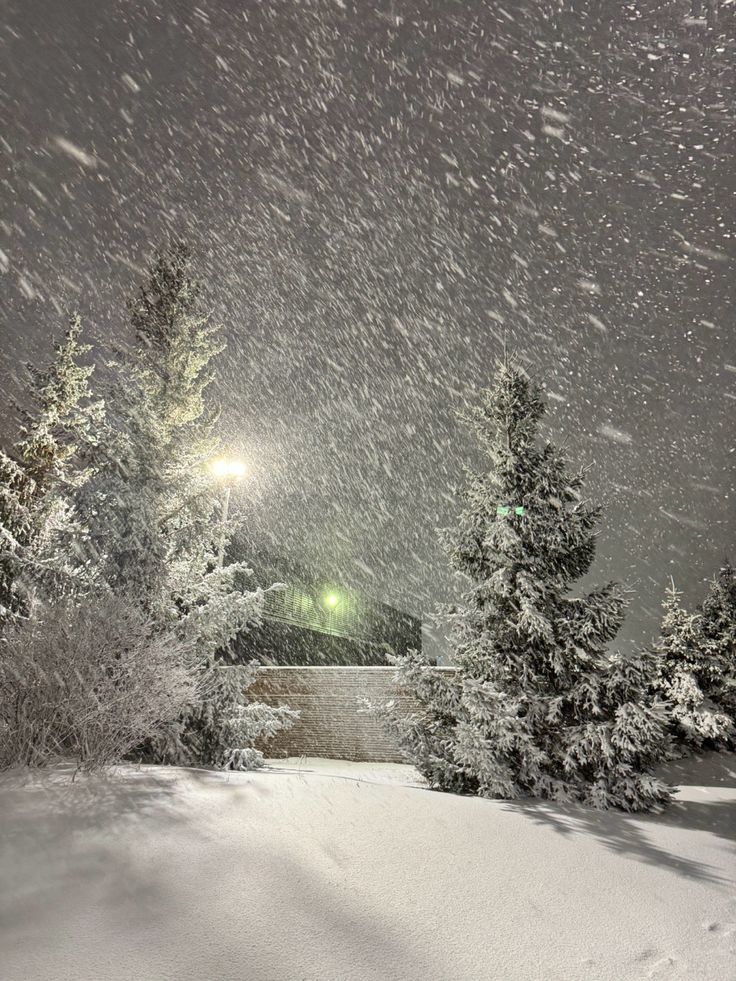 the snow is falling and there are trees in the foreground with lights shining on them