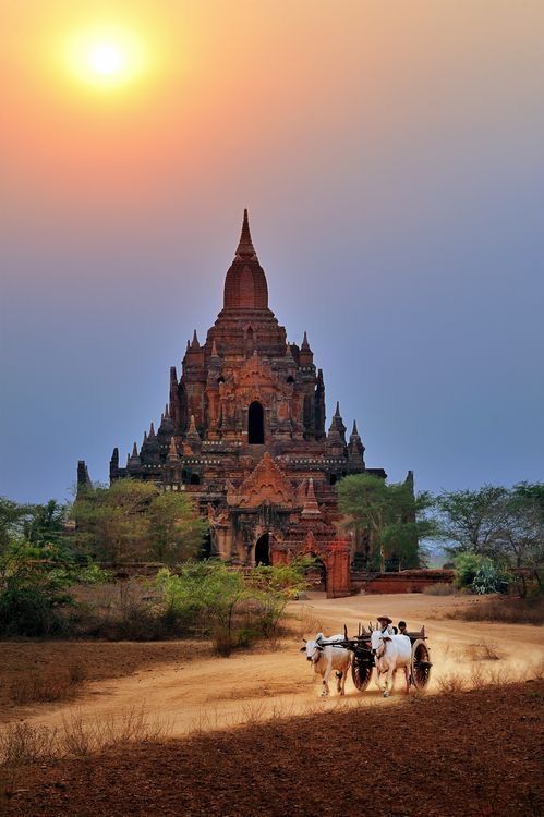 two horses are pulling a cart in front of an ancient building at sunset or dawn