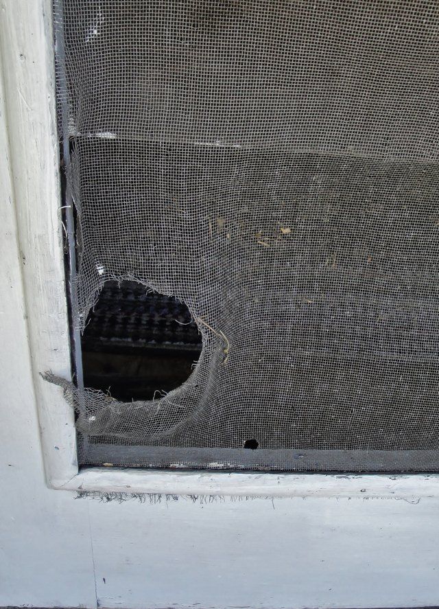 a broken screen door with a hole in it