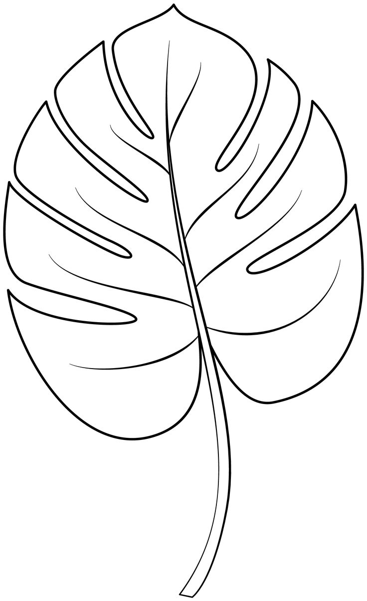 a black and white drawing of a leaf