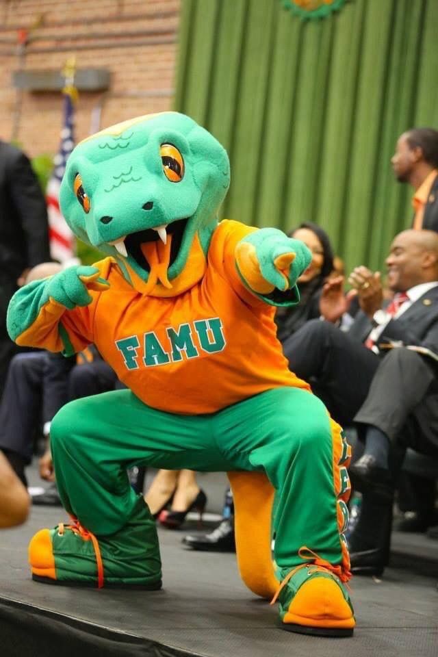 a person in an orange and green mascot costume on stage with other people watching from the sidelines