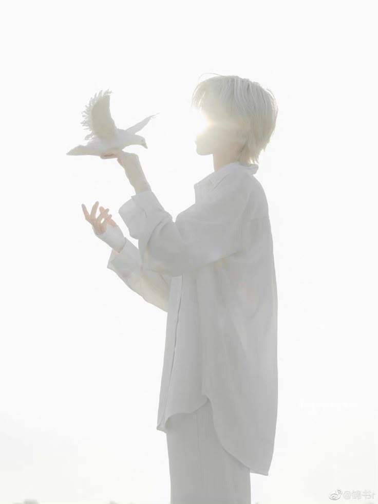 a person holding a bird in their hand with the sun shining through the clouds behind them