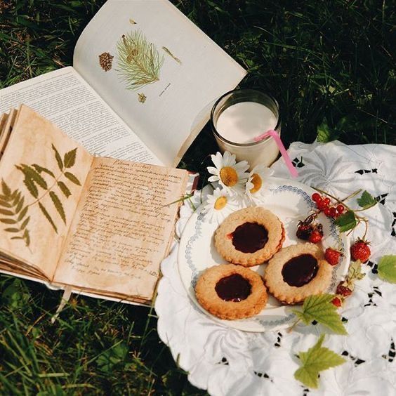 an open book and some cookies on a white plate with flowers next to it in the grass