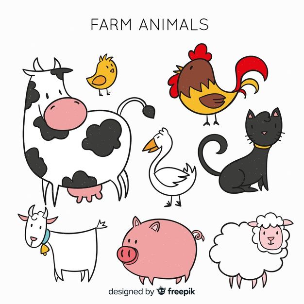 various farm animals and birds on a white background with the words farm animals written in black