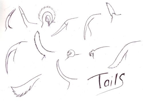 an elephant's head is shown with the word tails written below it in black ink