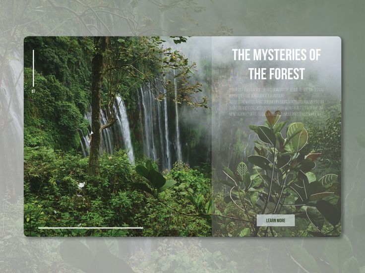 an image of a book with the title'the mysteriouss of the forest '