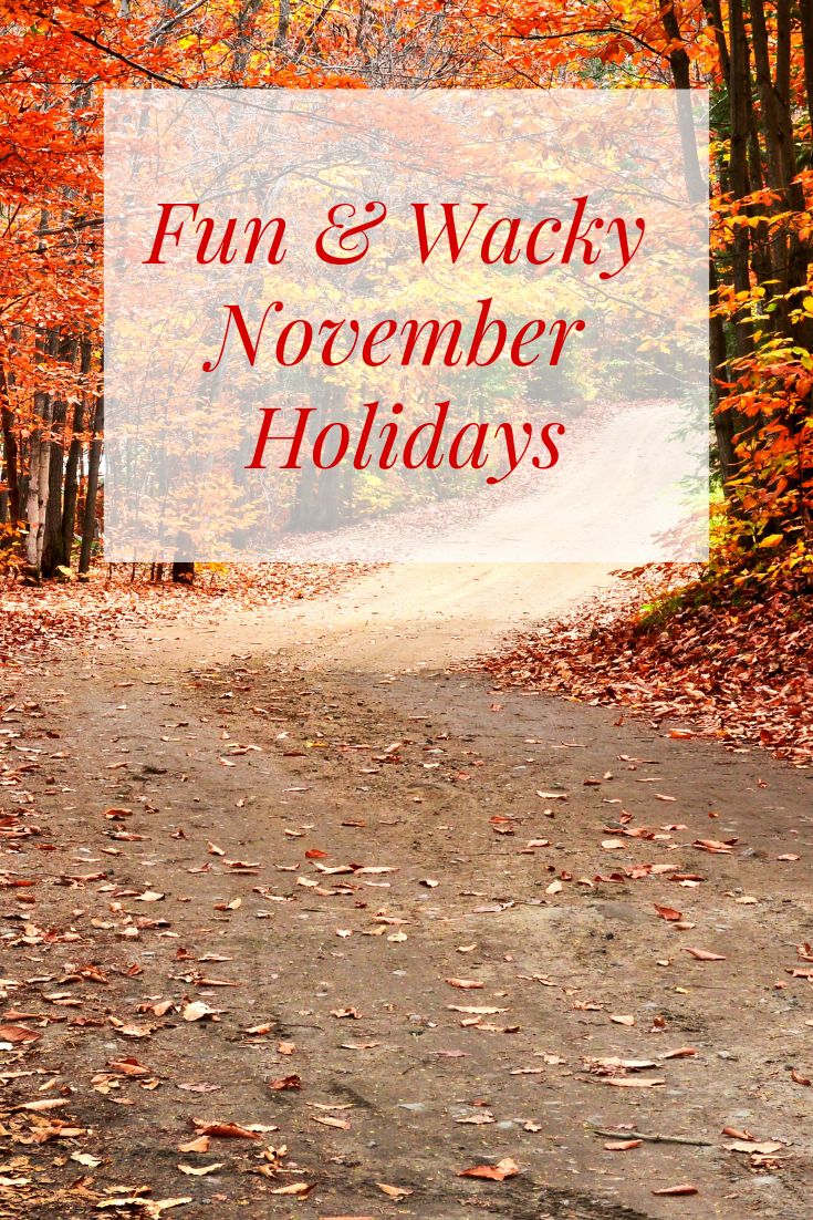 the words fun and wacky november holidays are overlaid by leaves on a dirt road