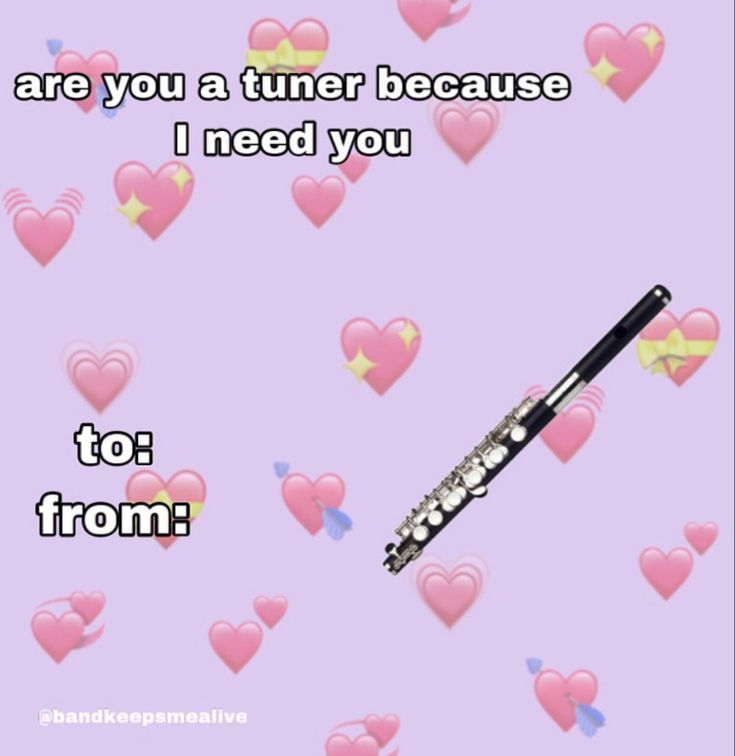 a flute with hearts in the background that says, are you a tuner because i need