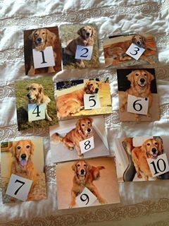 a bed with pictures of dogs on it and numbers pinned to the sheets in front of them