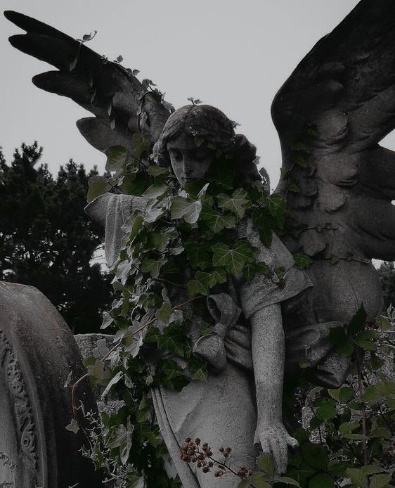 an angel statue surrounded by ivy on top of a grave