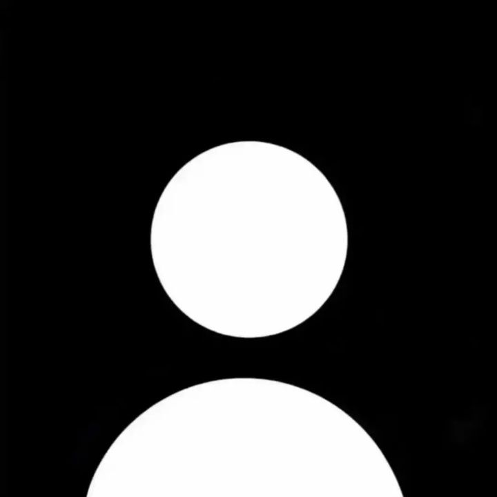 a black and white photo with two circles