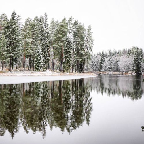 a lake surrounded by trees covered in snow