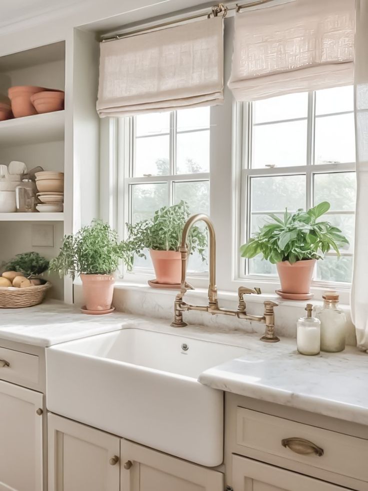 a kitchen sink with two plants on the window sill