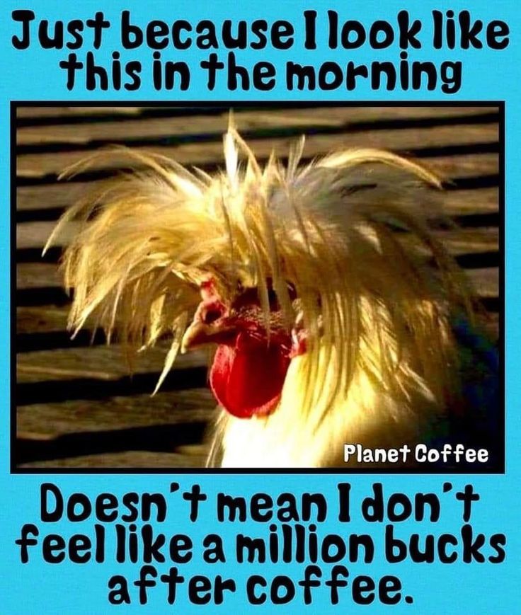 a chicken with its mouth open and the words just because i look like this in the morning