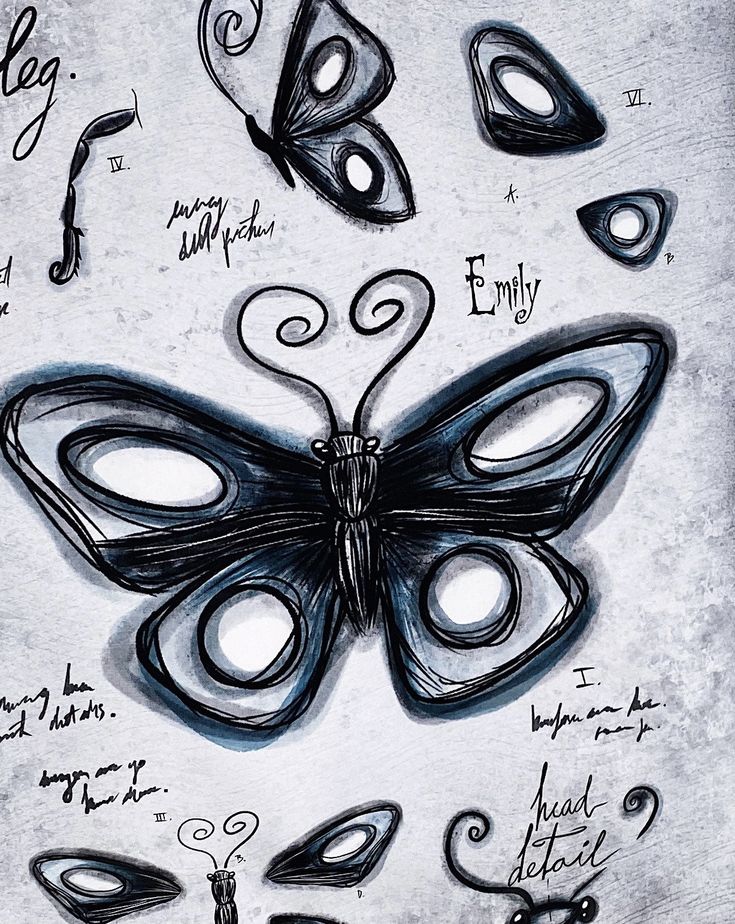 a drawing of a butterfly with some writing on it