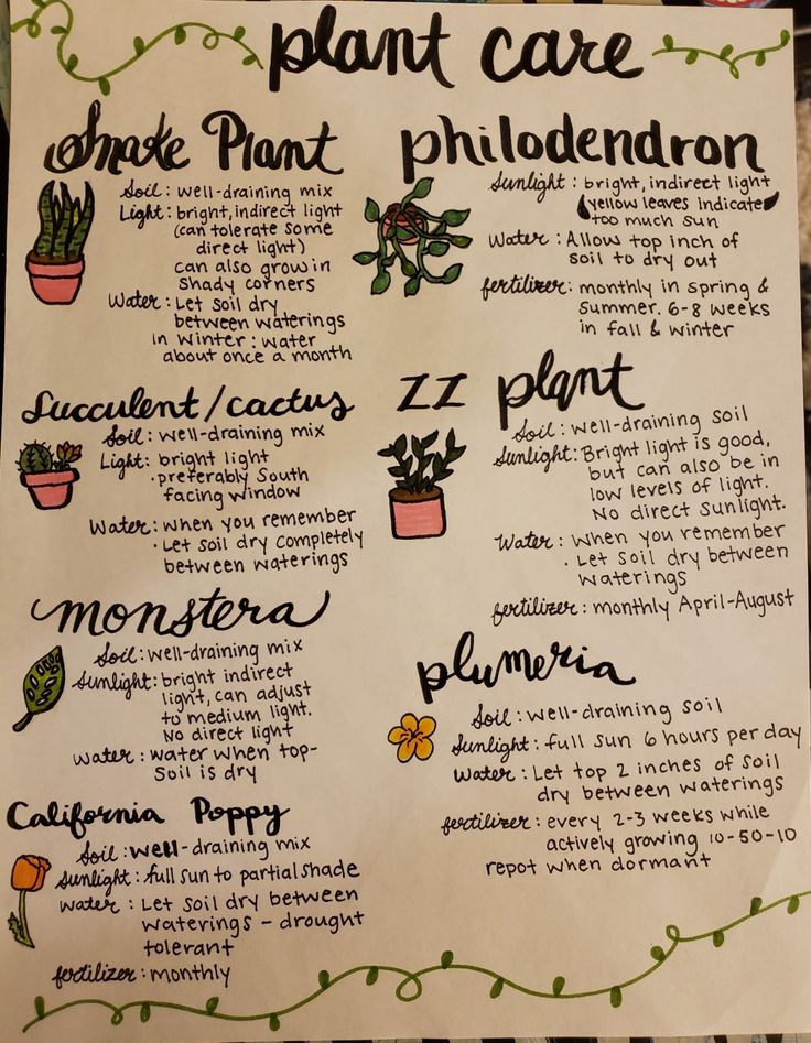 a plant care poster with plants and their names