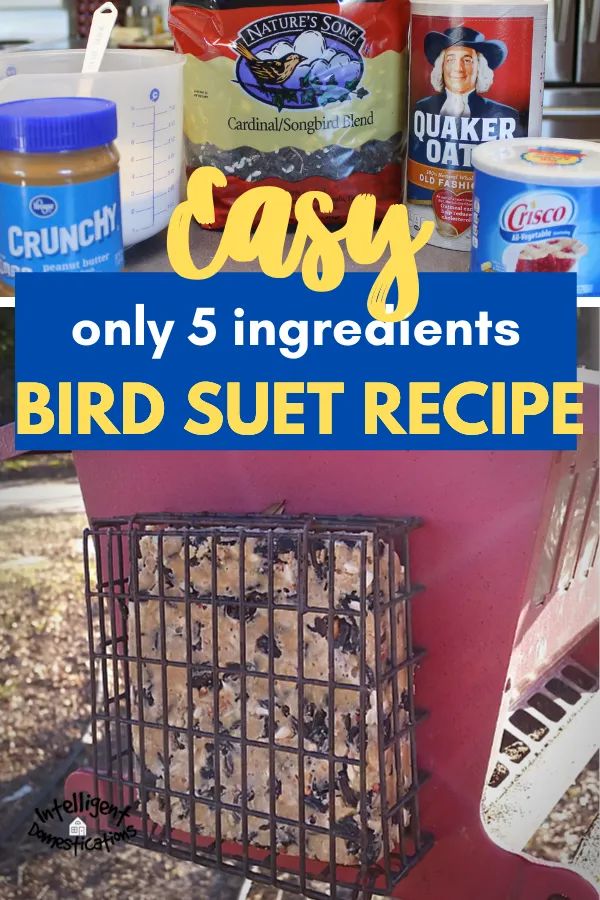 an image of bird suet recipe with text overlay that reads easy only 5 ingredients