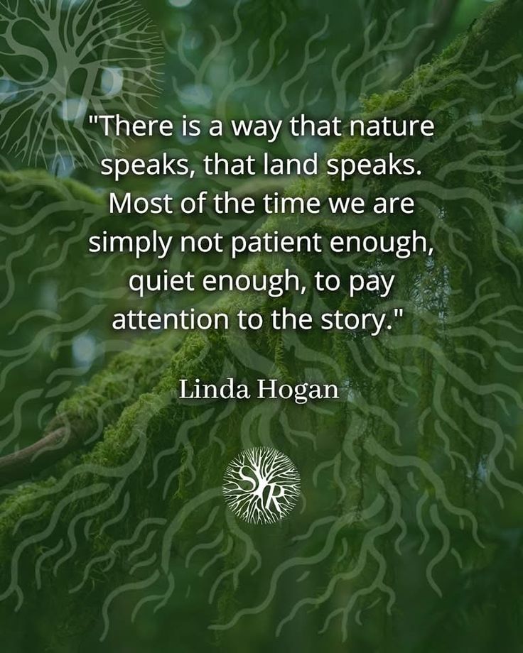 Mother Nature Quotes Funny, Linda Hogan, Mother Nature Quotes, Nature Quotes, Quotes Funny, Mother Nature, Pay Attention, Good Times, Funny Quotes