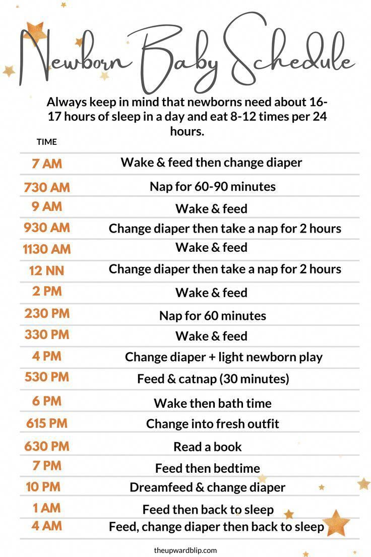 a baby schedule for newborns and toddlers with orange stars on the back ground