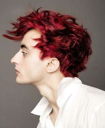 Men's red velvet hair color. Red Velvet Hair Color, Blood Red Hair, Red Hair Men, Hair Male, Mens Hair Colour, Dark Red Hair, Men Hair Color, Super Hair, Terry Pratchett