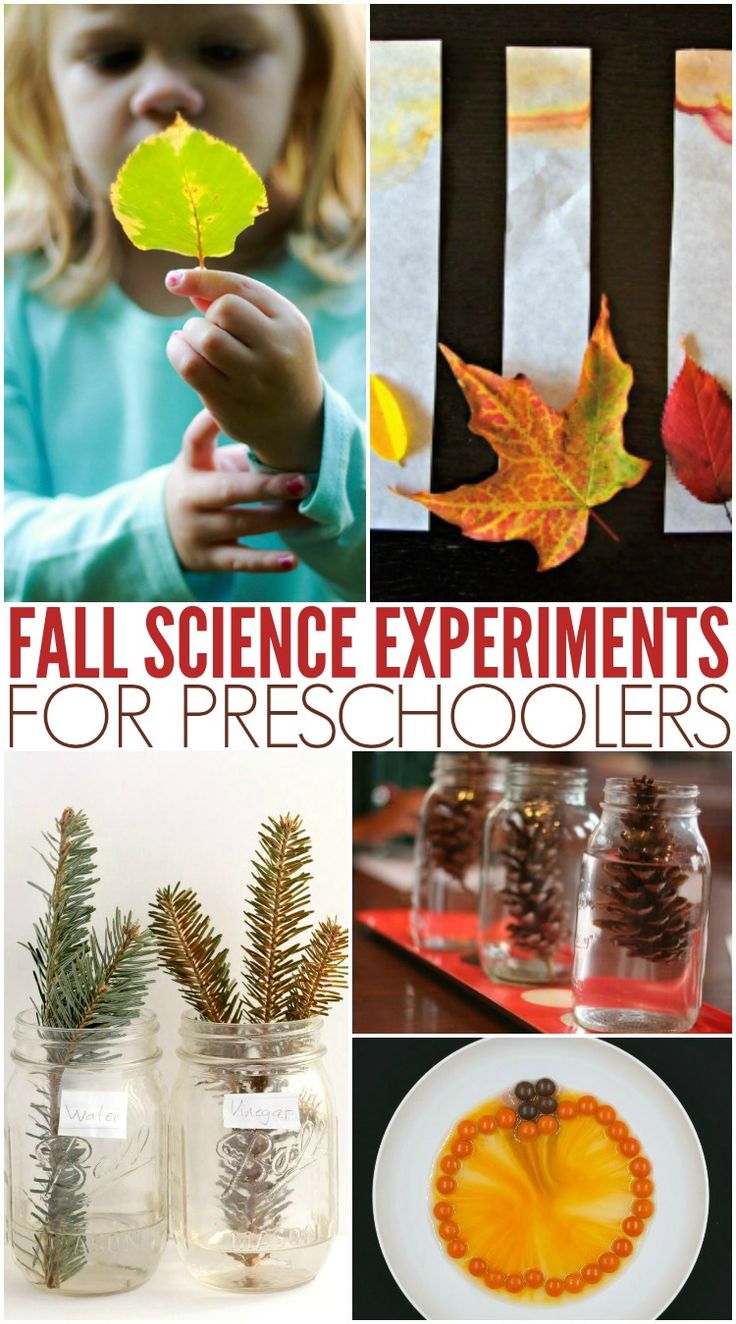 fall science experiments for preschoolers