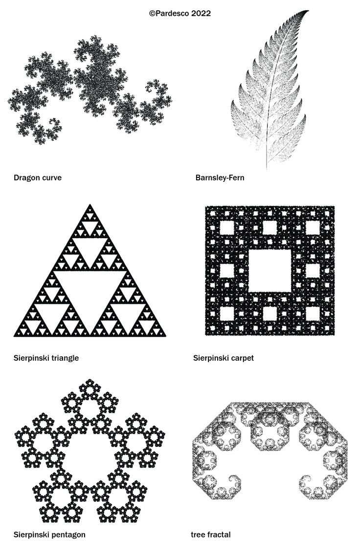 fractal geometry Symmetry In Nature, Mathematical Shapes, Fractals In Nature, Mandelbrot Set, Mathematics Art, Mathematics Geometry, Geometry In Nature, Maximalist Art, Fractal Geometry