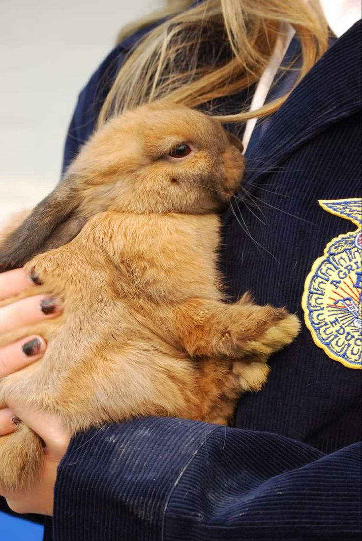 a woman holding a baby rabbit in her lap and badge on the back of her jacket