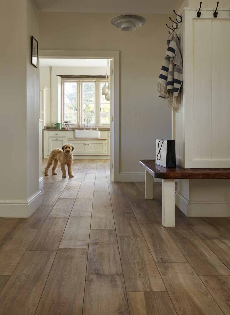 a dog is standing in the middle of a hallway with white cabinets and wood flooring