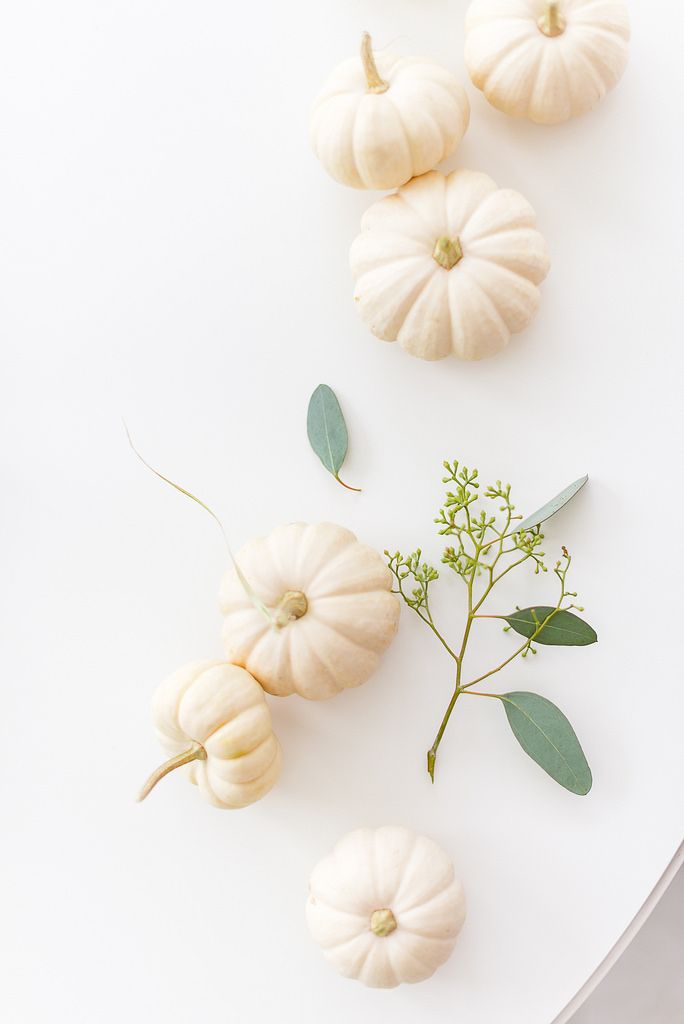 small white pumpkins and green leaves on a white surface with the stems still attached