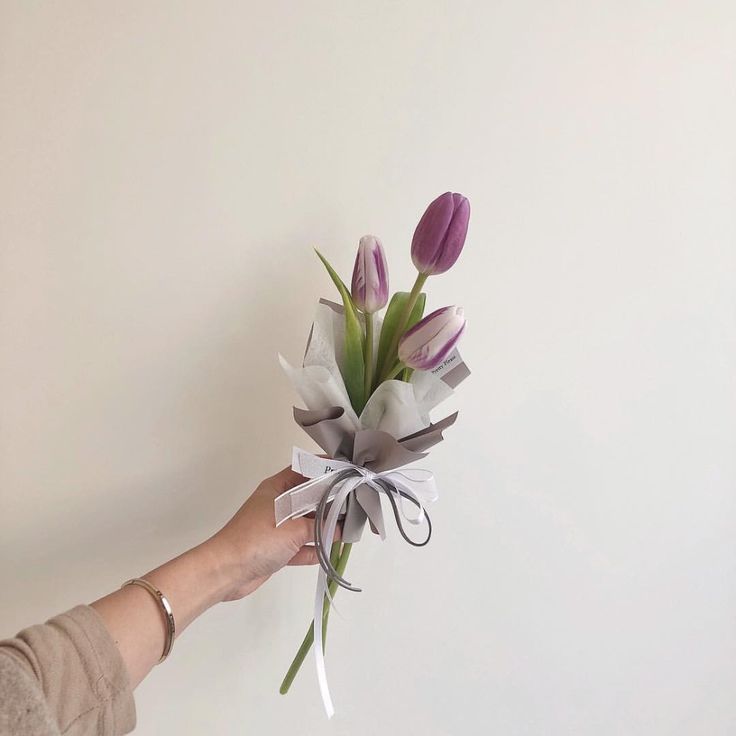 a person holding a bouquet of tulips in their left hand, against a white wall