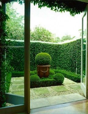 an open door leading to a small garden with a potted plant in the center