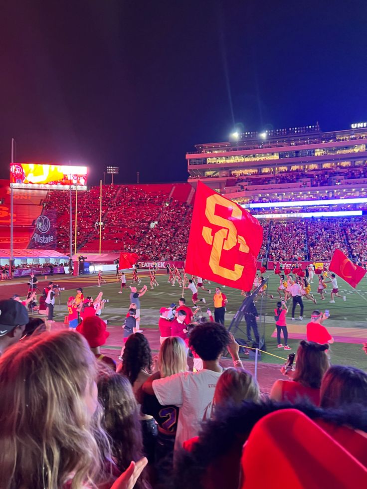 a group of people standing on top of a field at a football game with flags in the air