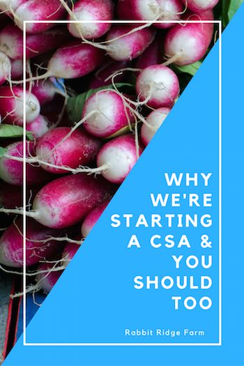 radishes with the words why we're starting a csa & you should too