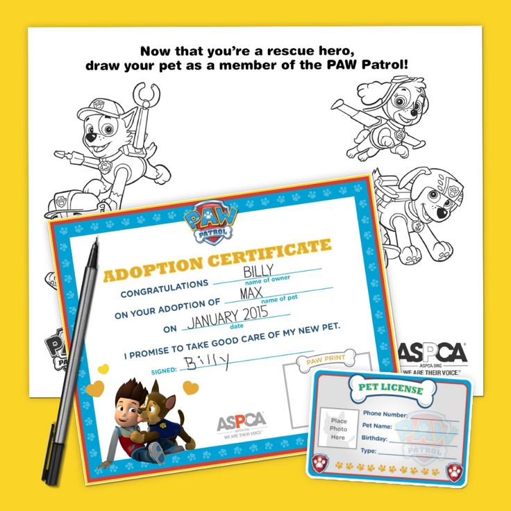 the paw patrol birthday certificate is on display next to it's envelope and pen