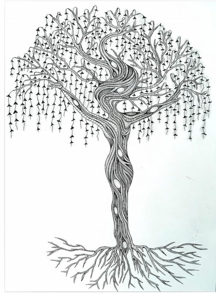 a drawing of a tree with many branches