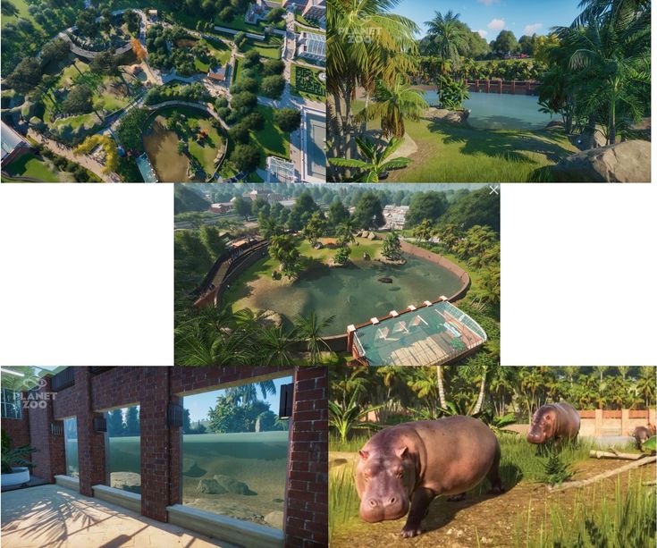 four different views of an animal park, including rhinos and other animals in the background