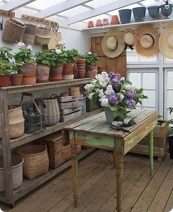 a room filled with lots of potted plants next to a wooden table and shelves