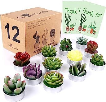 small potted succulents are arranged in front of a thank you card