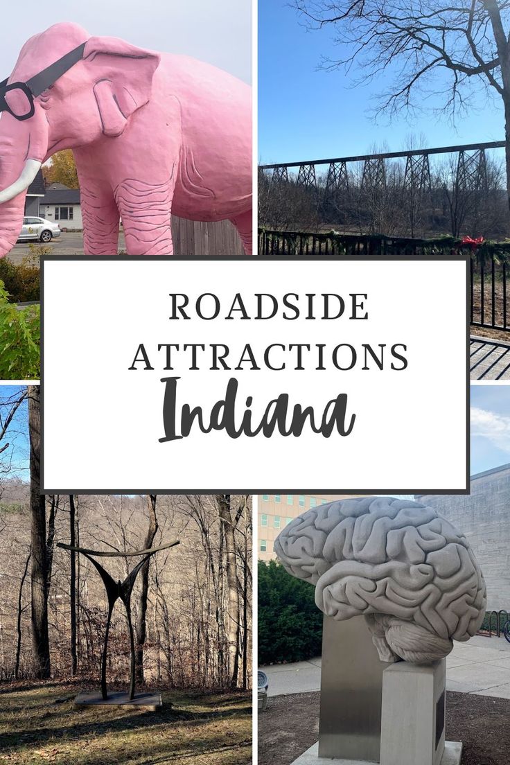 the words roadside attractions in india are overlaid with images of an elephant and a human brain