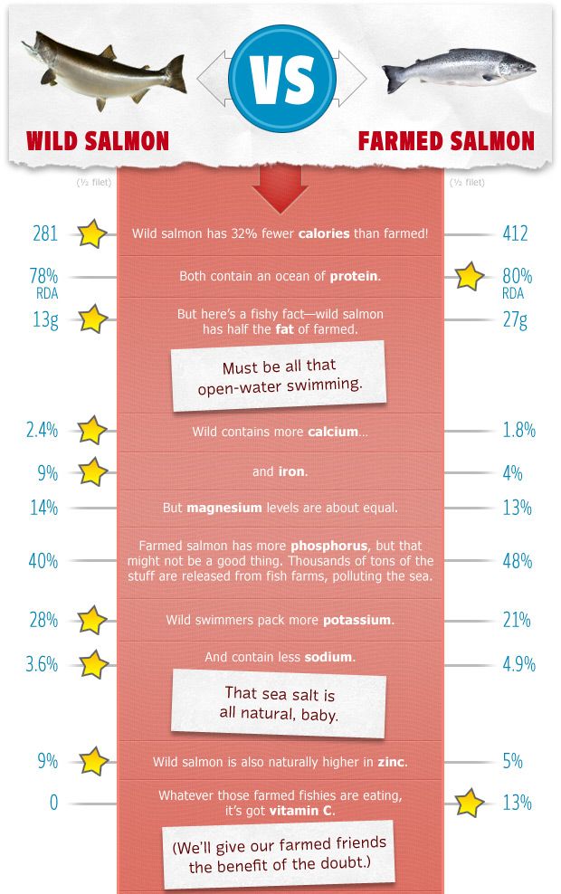 Which is Healthier: Wild Salmon vs Farmed Salmon | Prevention Salmon Diet Plan, Lion Diet Food List, Benefits Of Salmon, Salmon Nutrition Facts, Home Boxing Workout, Model Diet, Dukan Diet Attack Phase, Salmon Farming, Wild Salmon