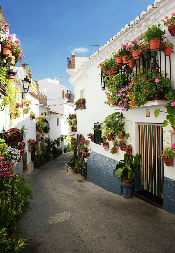 an alley way with potted plants and flowers on the wall, in front of white buildings