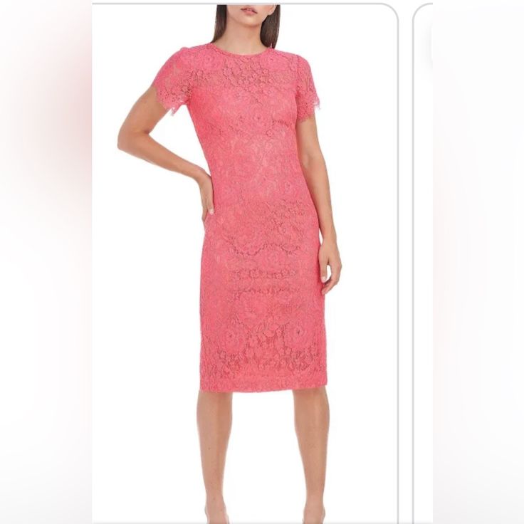 Brand New Never Worn. With All Tags On. Pretty Lace Overlay. Pinky Coral Color Size6. The Lighting In My Photos Makes The Dress Look More Orange. But It Is Pink. It Looks Like The Color On The Model In Person. Measurements In Pics Short Sleeve Lace Dress For Cocktail, Fitted Lace Cocktail Dress With Short Sleeves, Spring Lace Midi Dress For Workwear, Feminine Fitted Sheath Lace Dress, Chic Knee-length Lace Dress, Elegant Sheath Lace Dress For Summer, Summer Sheath Lace Dress For Formal Occasions, Feminine Fitted Midi Lace Dress, Chic Lace Dress For Spring Workwear