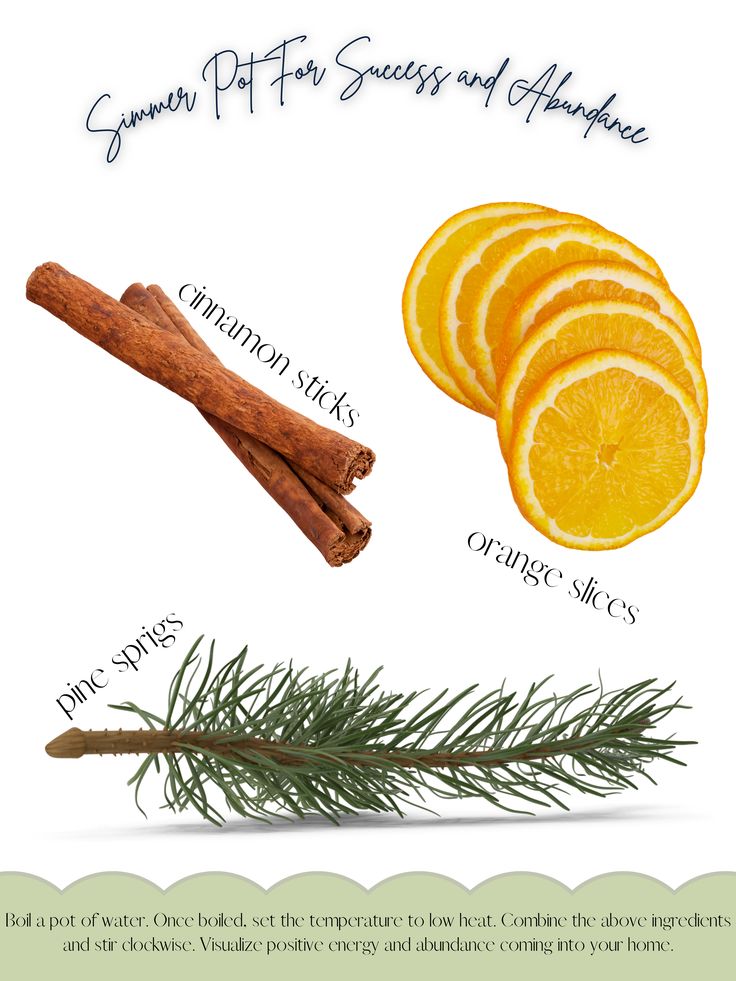 orange slices and cinnamon sticks are shown in this illustration