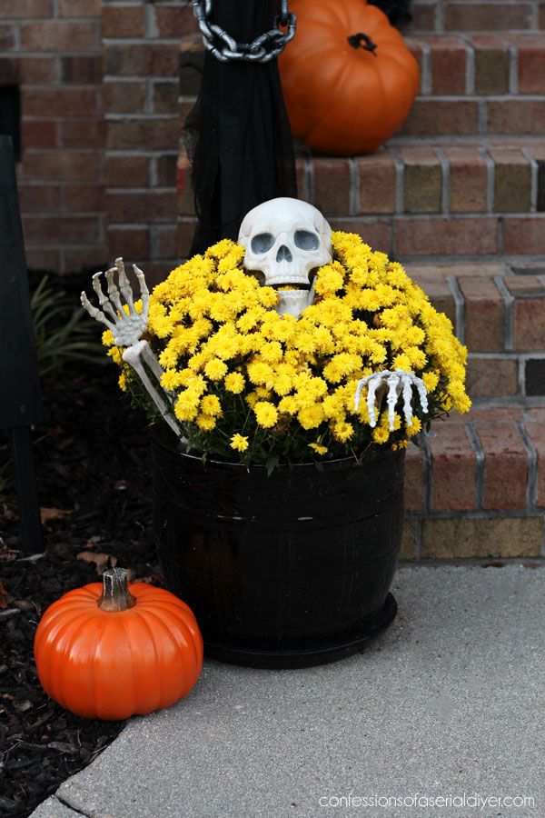 a fake skeleton sitting in a bucket filled with yellow flowers next to two pumpkins