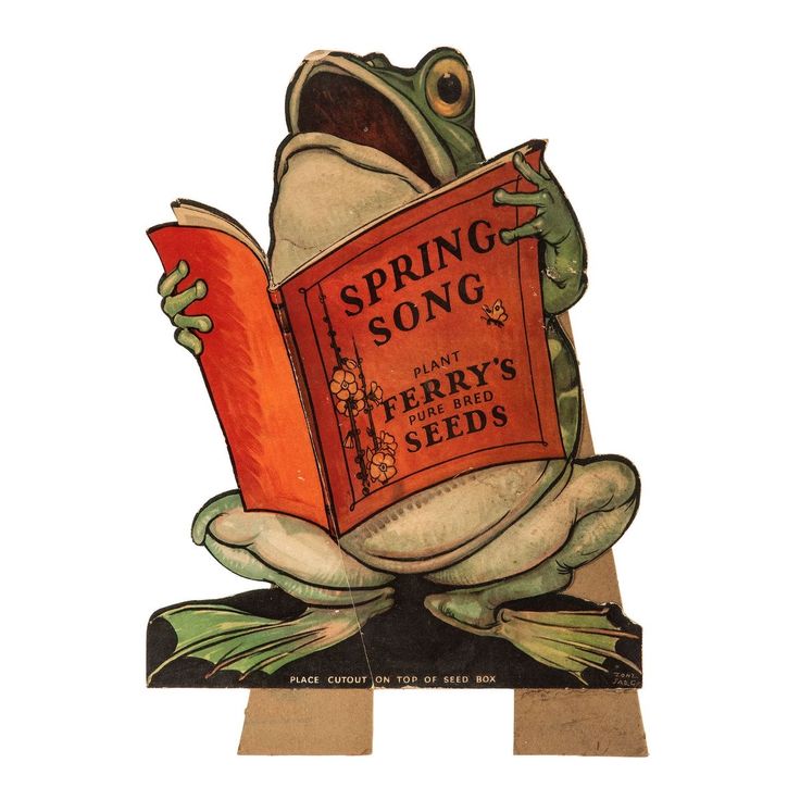 a frog sitting on top of a book