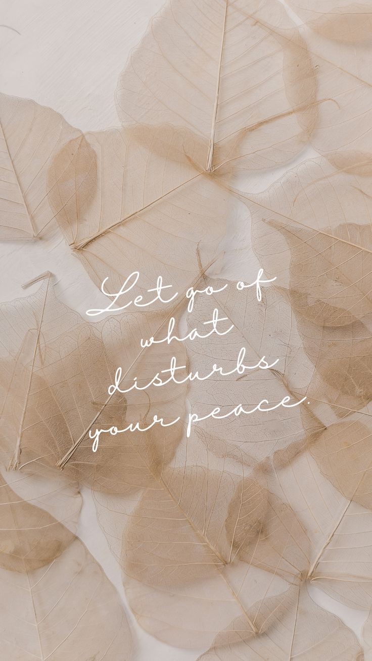 the words let go of what disturbs our peace are written on leaves