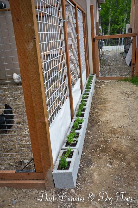 a chicken coop with some plants growing in it